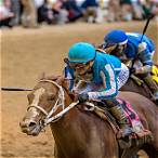 best horse to bet on kentucky derby